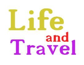 Разноцветный логотип DSLT - 2018