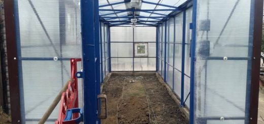 Теплица из поликарбоната своими руками