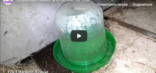 Поилка и подвесная кормушка для кур