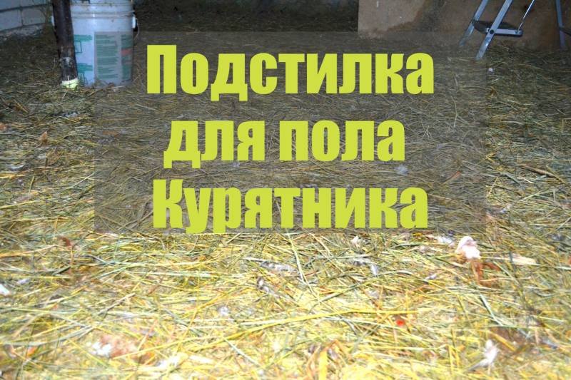 Подстилка в курятнике
