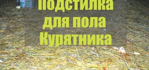Подстилка из сена для пола в курятнике