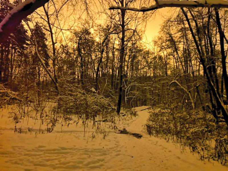 Сумерки зимой Хонор 10