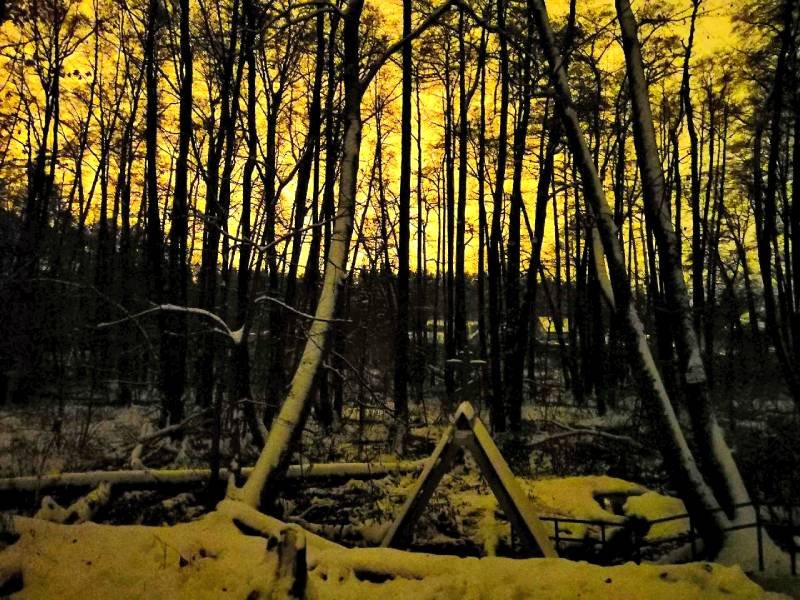 Сумерки зимой валежник