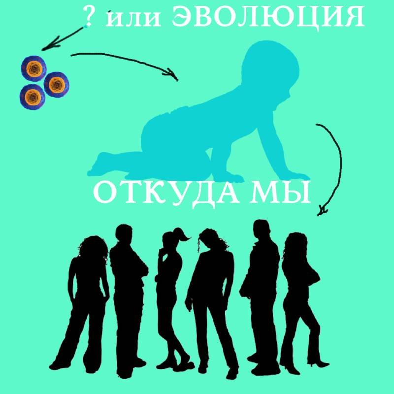 Человек результат эволюции или ..
