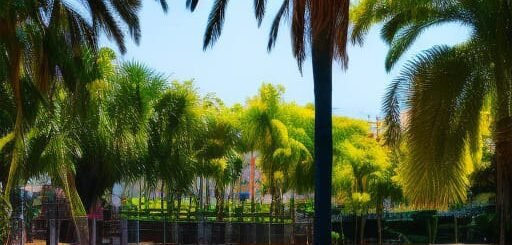 Достопримечательности Тихуаны