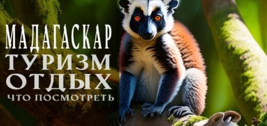 Что посмотреть на Мадагаскаре