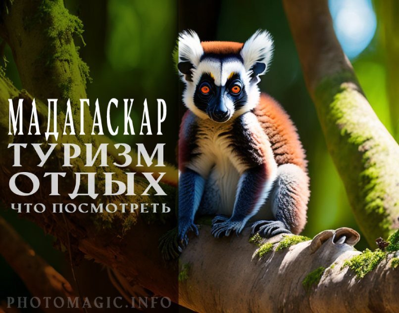 Что посмотреть на Мадагаскаре