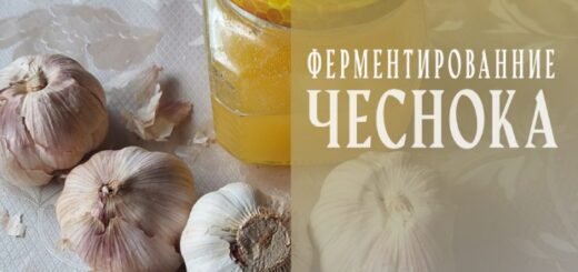 Как самим приготовить ферментированный чеснок