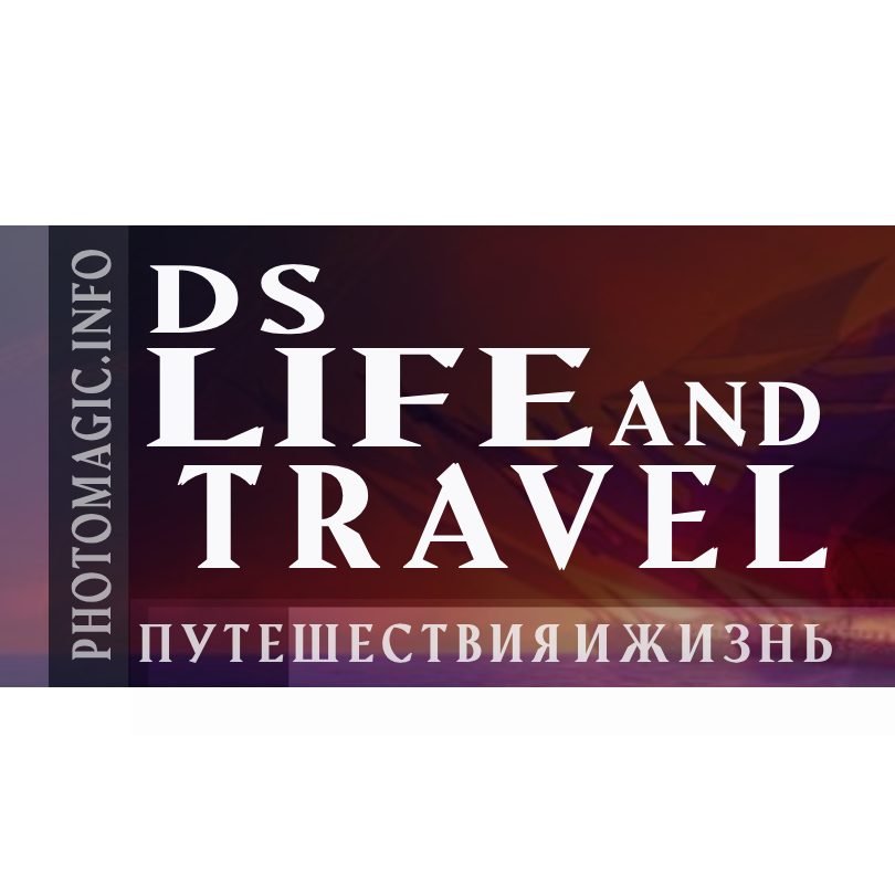 Логотип DSLT в красных тонах на белом фоне - 2023