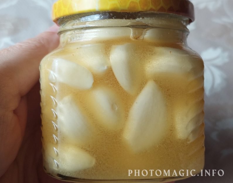 ферментирование чеснока