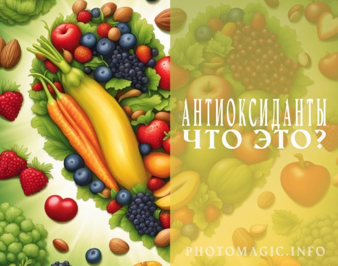 Антиоксиданты Что это