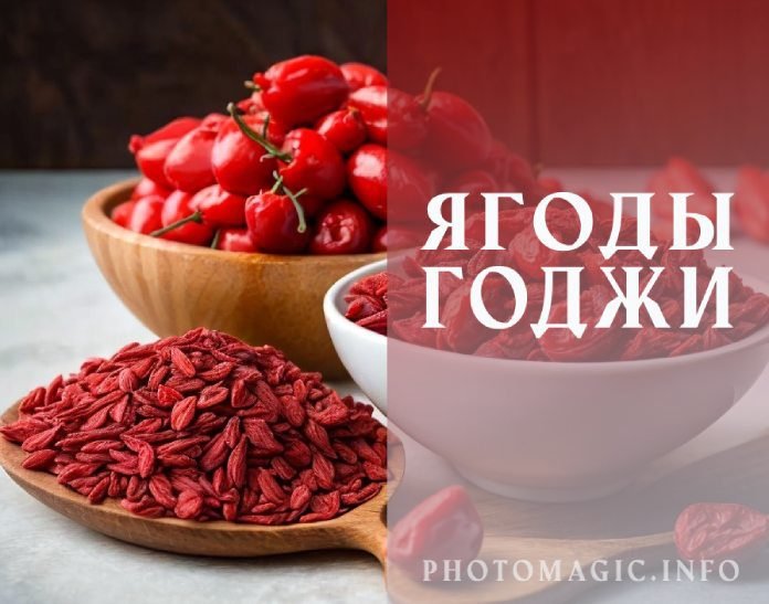 Ягоды Годжи